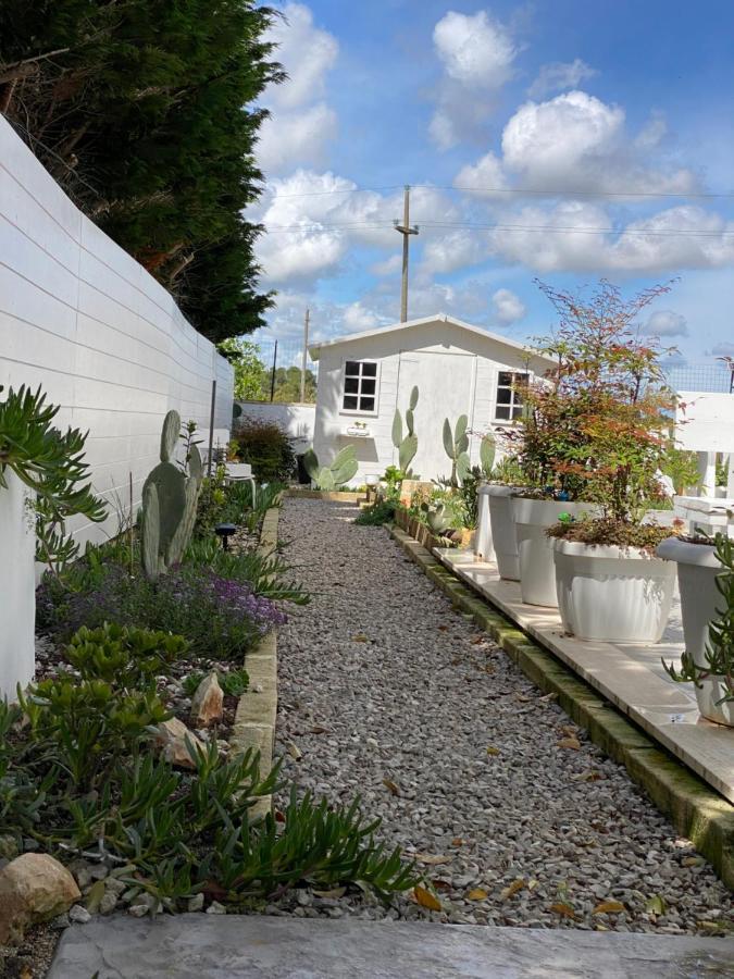 莱切La Casa Di Nina住宿加早餐旅馆 外观 照片